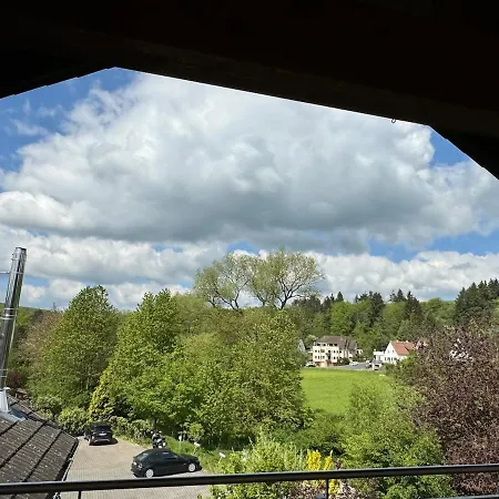 Apartment Dachgeschoss Mit Blick Ins Grüne *