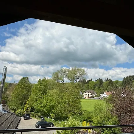 Dachgeschoss Mit Blick Ins Grüne * Taunusstein